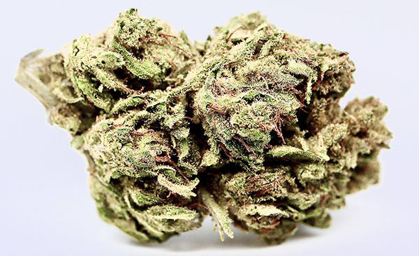 
                      
                        ΔDELTA 8 Organic Flower Nugs - FROSTED CAKE - Indica Hybrid - 1/4 Ounce
                      
                    